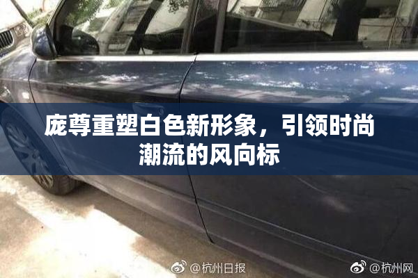 庞尊重塑白色新形象，引领时尚潮流的风向标