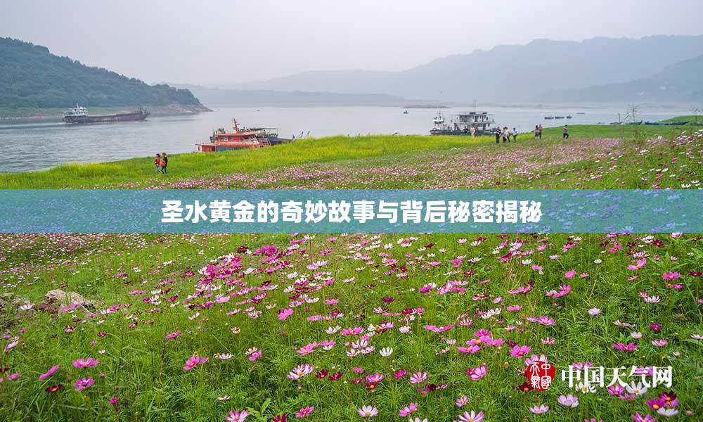 圣水黄金的奇妙故事与背后秘密揭秘