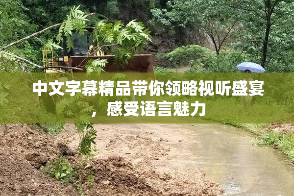 中文字幕精品带你领略视听盛宴，感受语言魅力