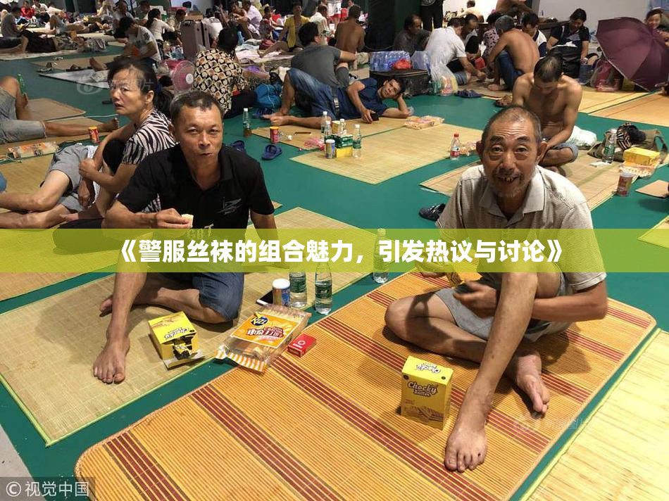 《警服丝袜的组合魅力，引发热议与讨论》