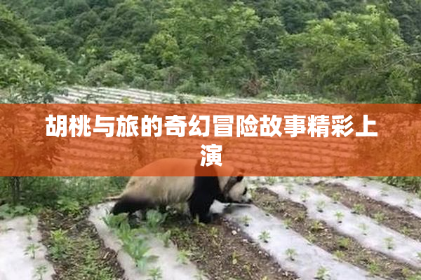 胡桃与旅的奇幻冒险故事精彩上演