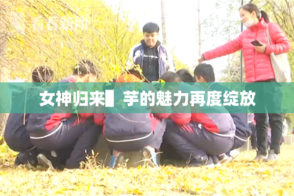 女神归来▌芋的魅力再度绽放