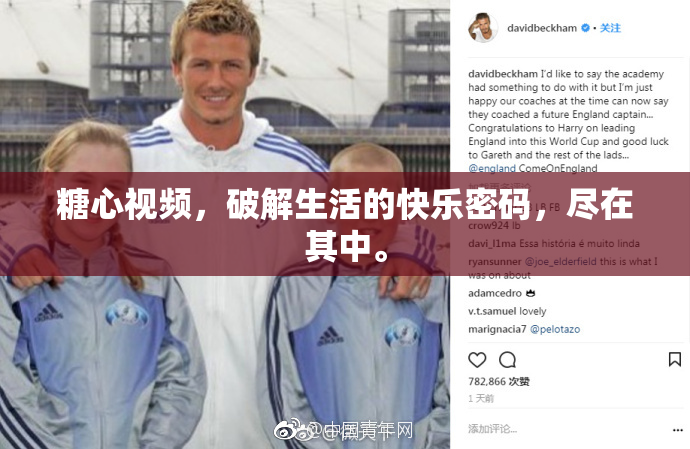 糖心视频，破解生活的快乐密码，尽在其中。