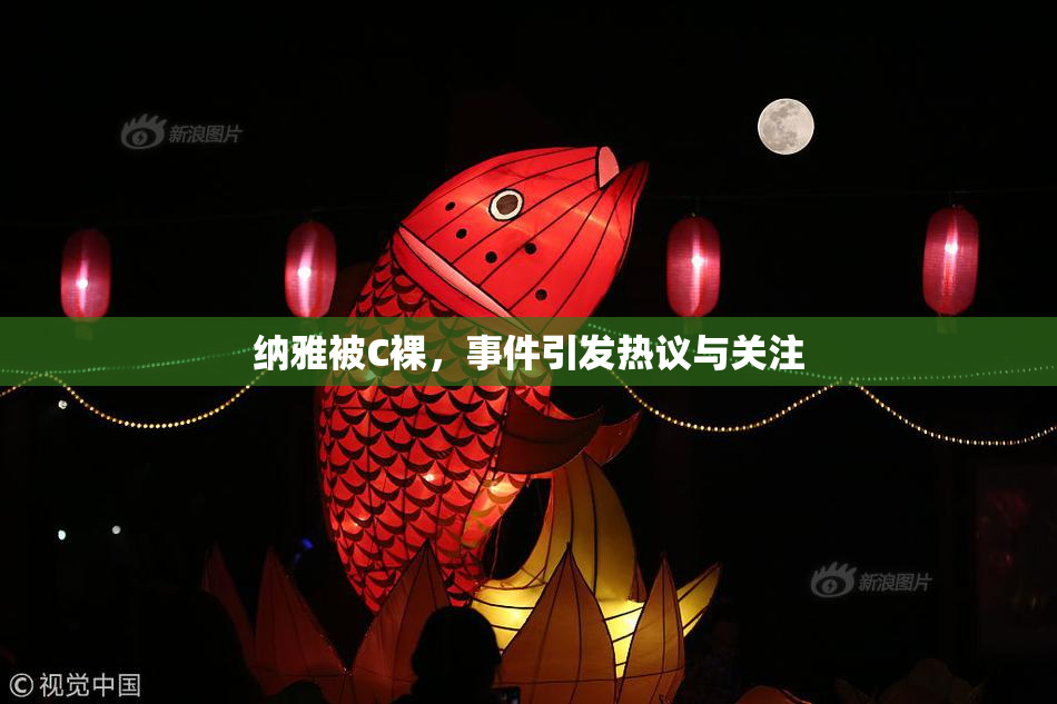 纳雅被C裸，事件引发热议与关注