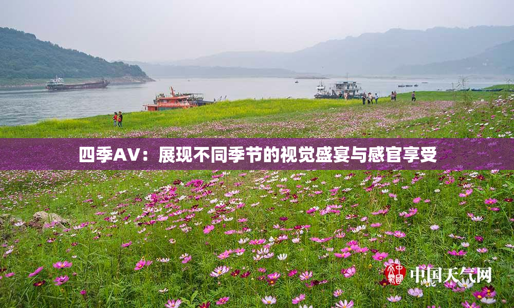 四季AV：展现不同季节的视觉盛宴与感官享受