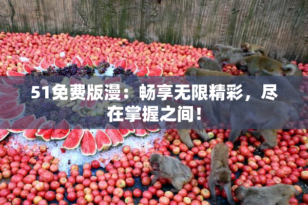 51免费版漫：畅享无限精彩，尽在掌握之间！