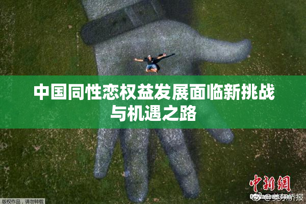 中国同性恋权益发展面临新挑战与机遇之路