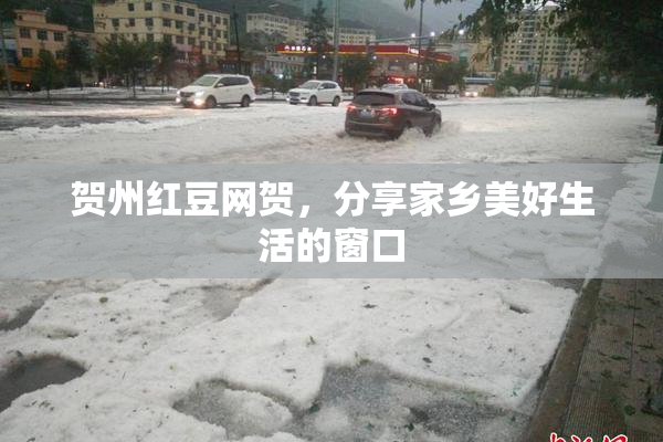 贺州红豆网贺，分享家乡美好生活的窗口