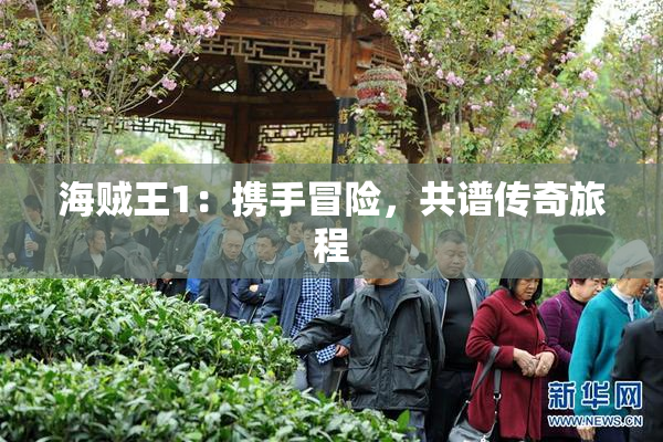 海贼王1：携手冒险，共谱传奇旅程