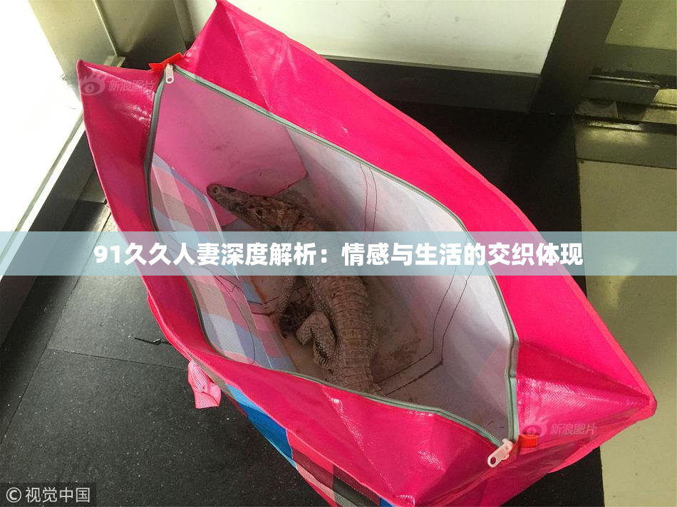 91久久人妻深度解析：情感与生活的交织体现
