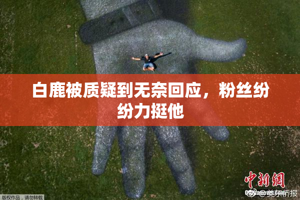 白鹿被质疑到无奈回应，粉丝纷纷力挺他
