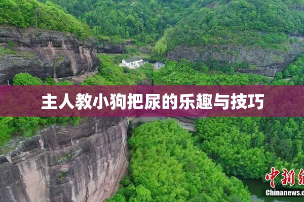 主人教小狗把尿的乐趣与技巧