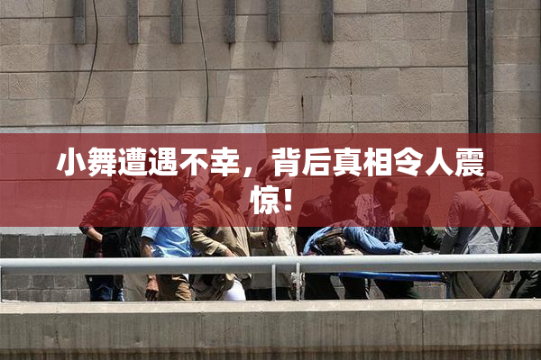 小舞遭遇不幸，背后真相令人震惊！