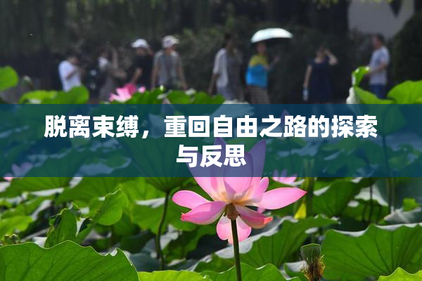 脱离束缚，重回自由之路的探索与反思