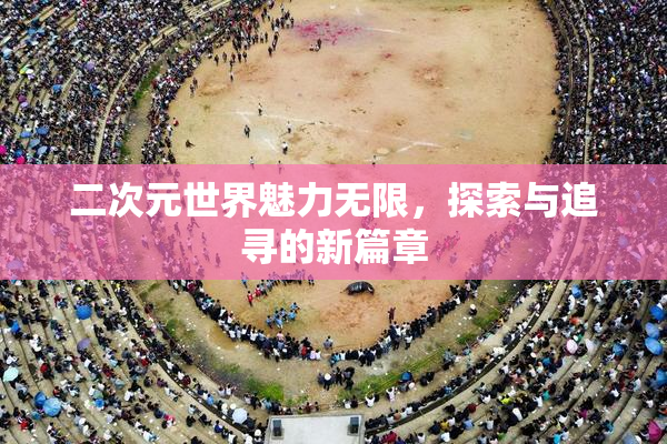 二次元世界魅力无限，探索与追寻的新篇章