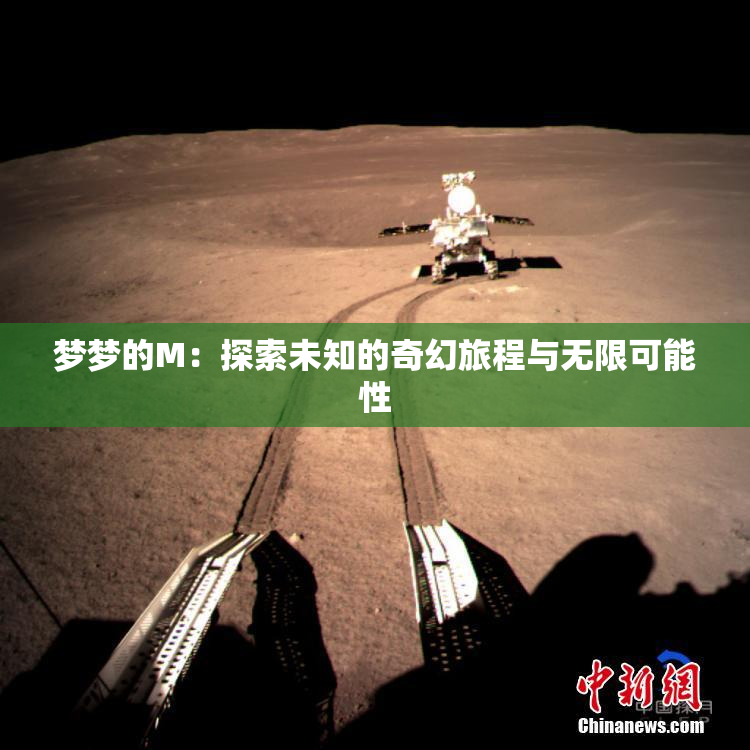 梦梦的M：探索未知的奇幻旅程与无限可能性