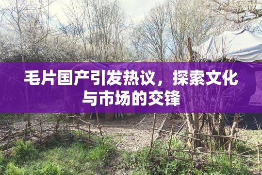 毛片国产引发热议，探索文化与市场的交锋