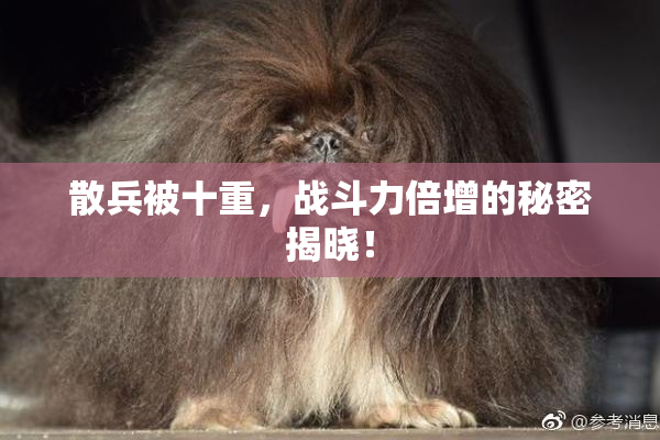 散兵被十重，战斗力倍增的秘密揭晓！