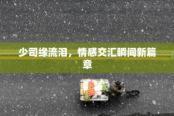 少司缘流泪，情感交汇瞬间新篇章
