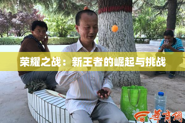 荣耀之战：新王者的崛起与挑战