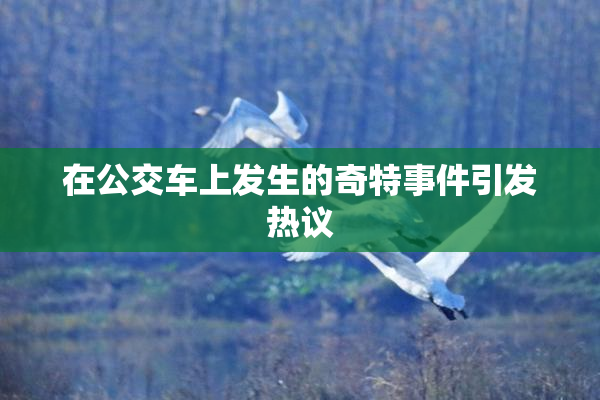 在公交车上发生的奇特事件引发热议