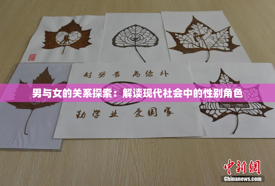 男与女的关系探索：解读现代社会中的性别角色