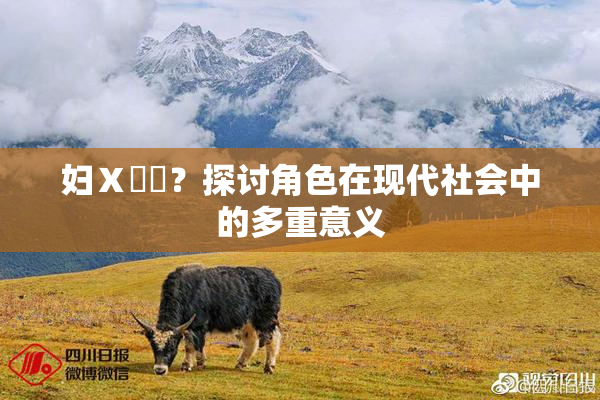 妇Ⅹ乄乂？探讨角色在现代社会中的多重意义