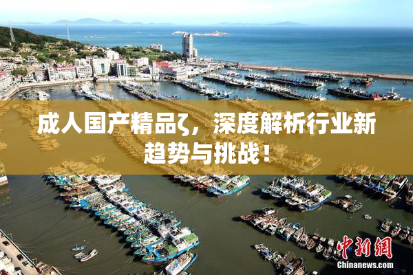 成人国产精品ζ，深度解析行业新趋势与挑战！