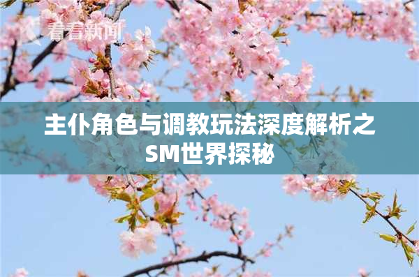 主仆角色与调教玩法深度解析之SM世界探秘