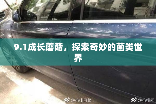 9.1成长蘑菇，探索奇妙的菌类世界