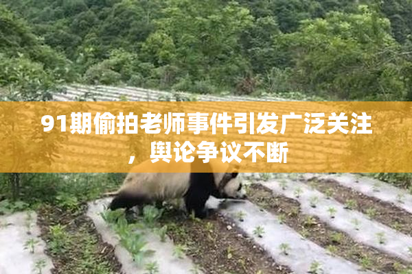 91期偷拍老师事件引发广泛关注，舆论争议不断