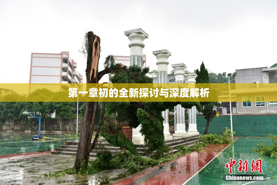 第一章初的全新探讨与深度解析