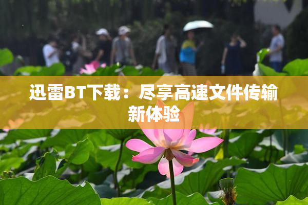 迅雷BT下载：尽享高速文件传输新体验