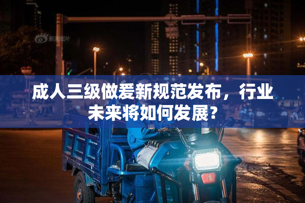 成人三级做爰新规范发布，行业未来将如何发展？