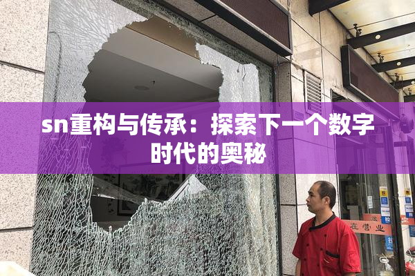sn重构与传承：探索下一个数字时代的奥秘