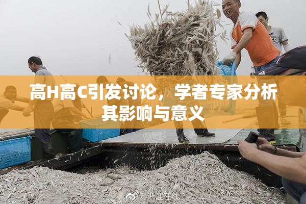 高H高C引发讨论，学者专家分析其影响与意义