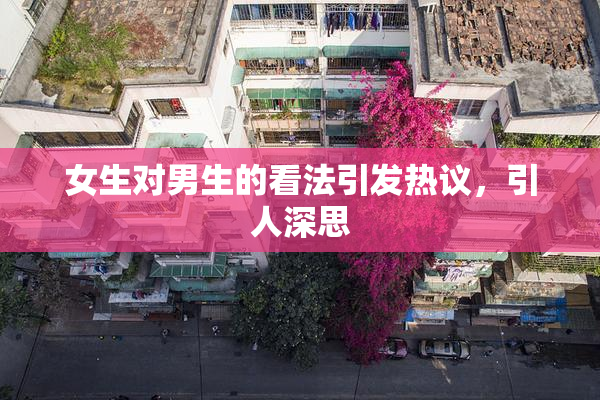 女生对男生的看法引发热议，引人深思