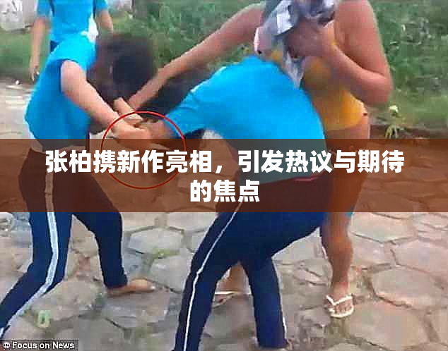 张柏携新作亮相，引发热议与期待的焦点