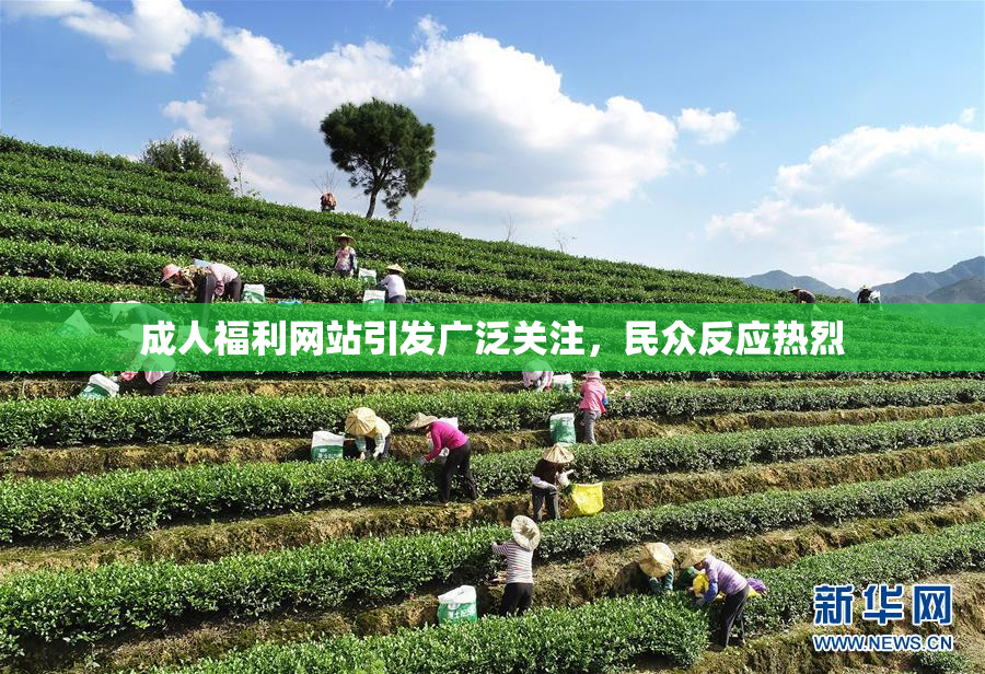 成人福利网站引发广泛关注，民众反应热烈