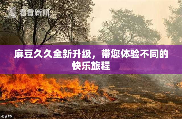 麻豆久久全新升级，带您体验不同的快乐旅程