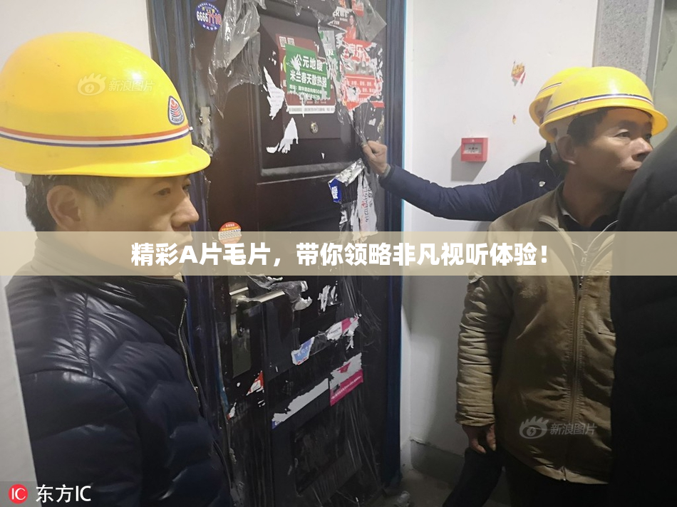 精彩A片毛片，带你领略非凡视听体验！