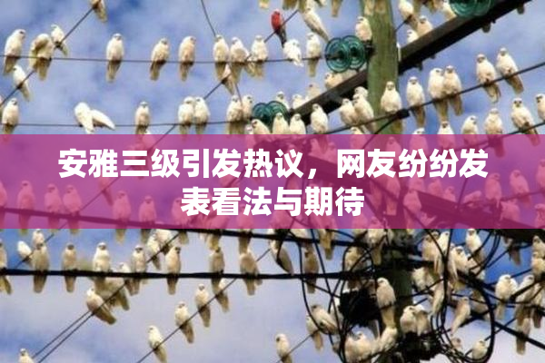 安雅三级引发热议，网友纷纷发表看法与期待