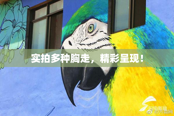 实拍多种胸走，精彩呈现！