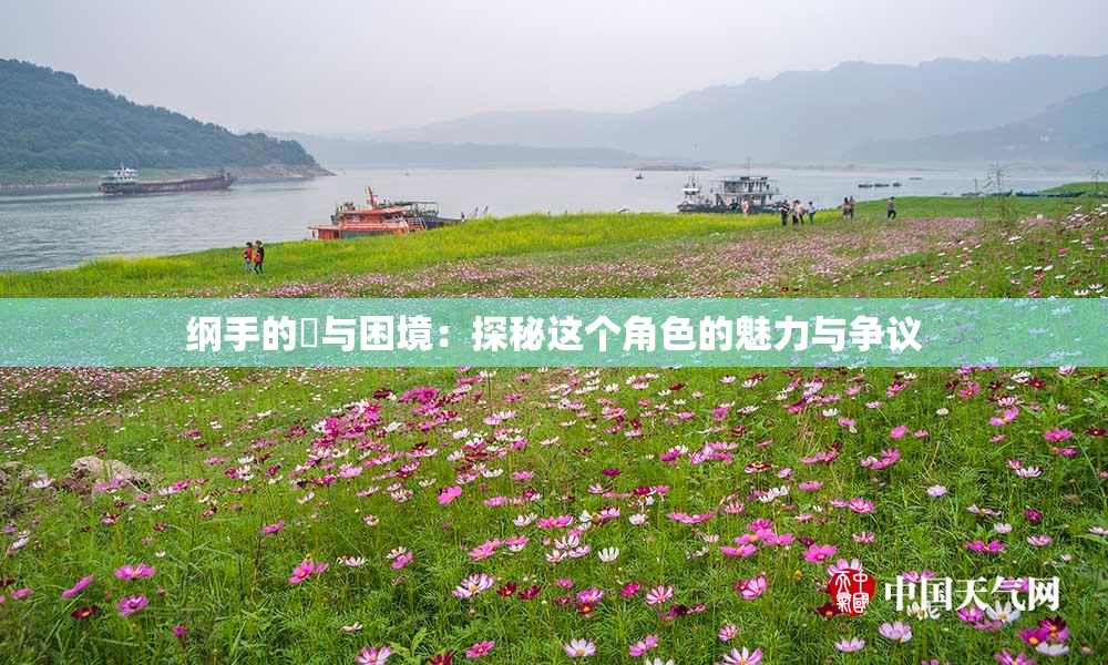纲手的婬与困境：探秘这个角色的魅力与争议