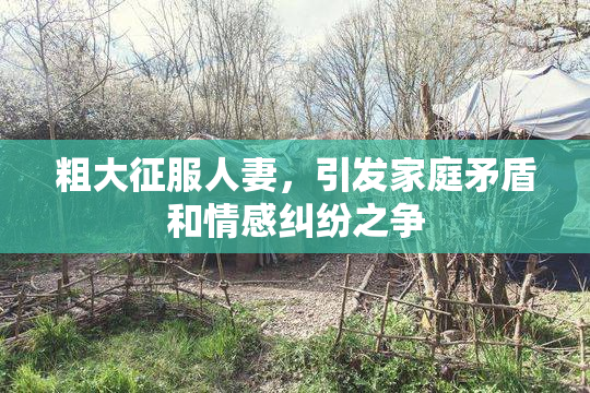 粗大征服人妻，引发家庭矛盾和情感纠纷之争