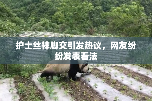 护士丝袜脚交引发热议，网友纷纷发表看法