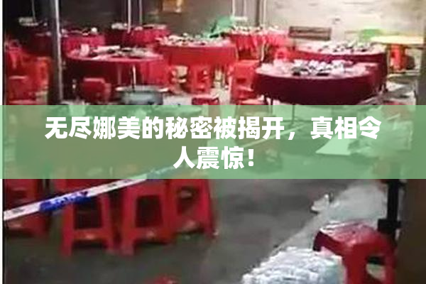 无尽娜美的秘密被揭开，真相令人震惊！