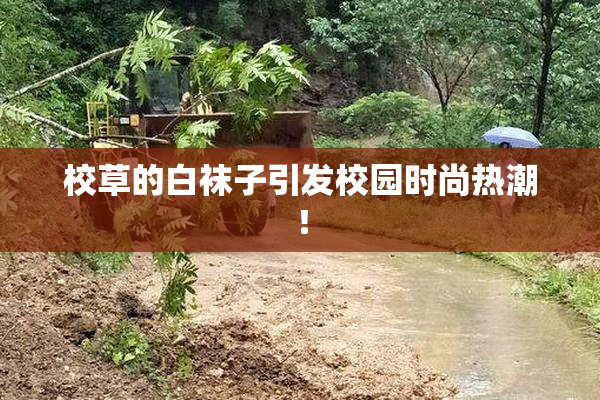 校草的白袜子引发校园时尚热潮！