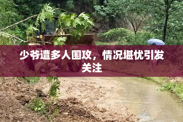 少爷遭多人围攻，情况堪忧引发关注
