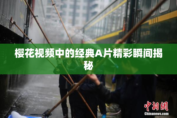 樱花视频中的经典A片精彩瞬间揭秘